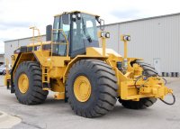 '. Cat-824-1.jpg.'